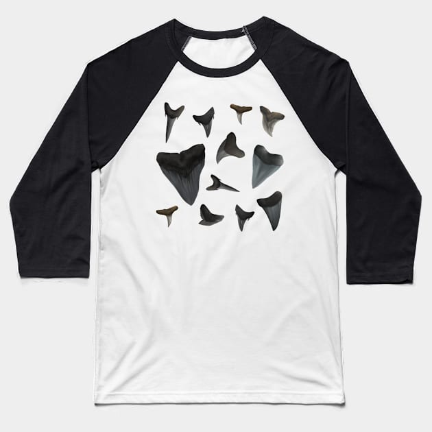 Assorted Shark Teeth Baseball T-Shirt by Reeseworks